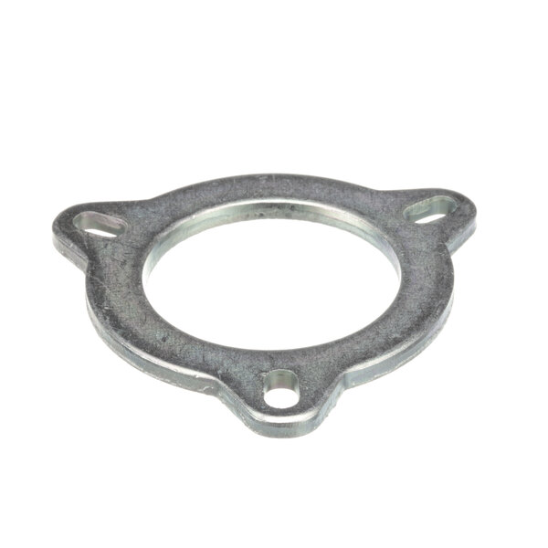 An Insinger clamping plate, a metal circle with holes in it.