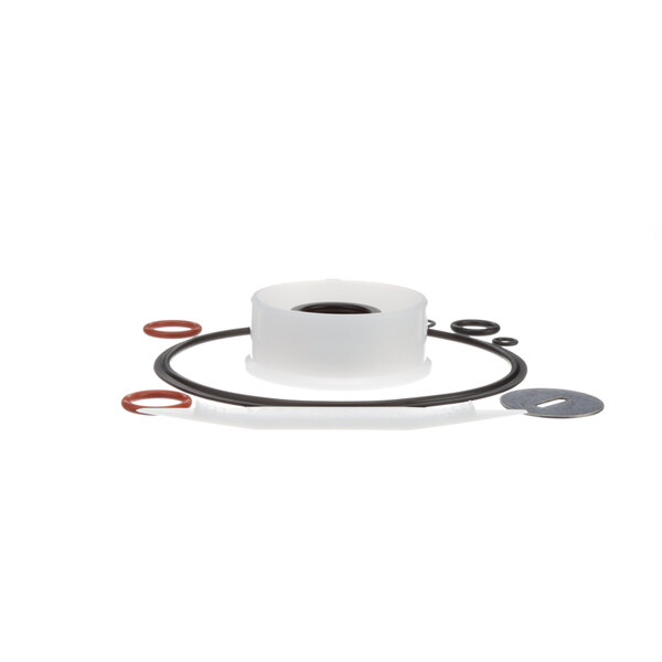 A Taylor X50413 rebuild kit with rubber gaskets.