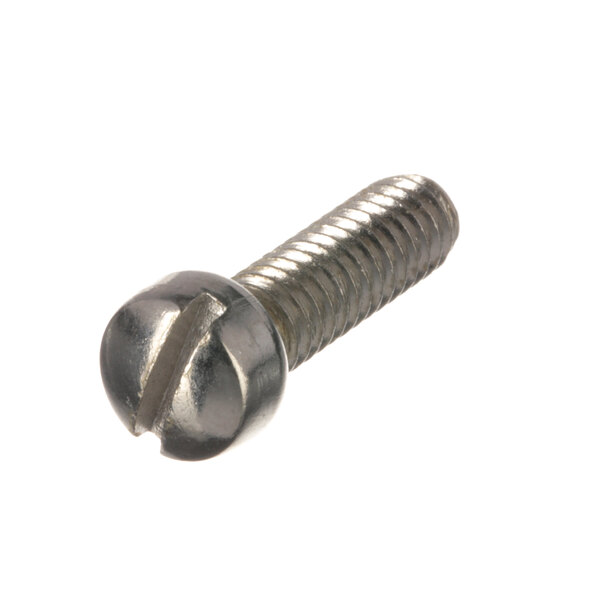 A close-up of a Waring housing screw.