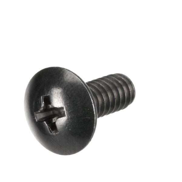 A close-up of a Groen NT1104 screw on a white background.