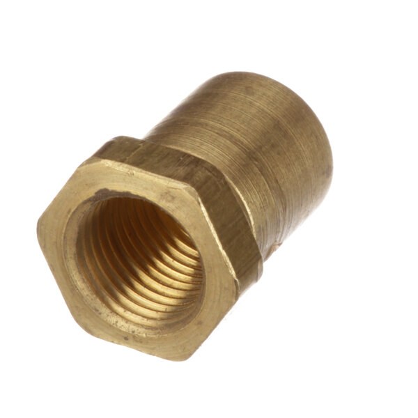 A close-up of a brass threaded nut with a nut on the end.