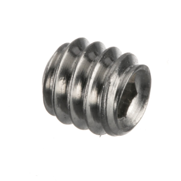 A close-up of a stainless steel Insinger screw.