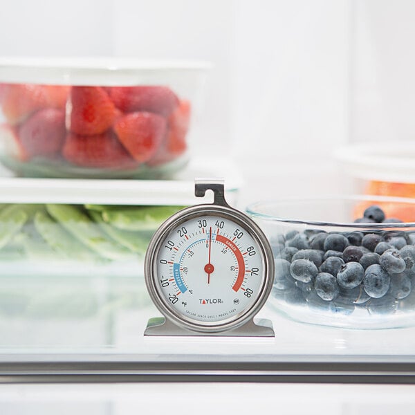 A close-up of a Taylor refrigerator/freezer thermometer next to a bowl of blueberries.