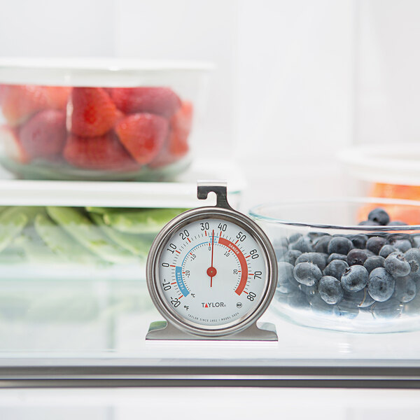 Fridge/Freezer Thermometer