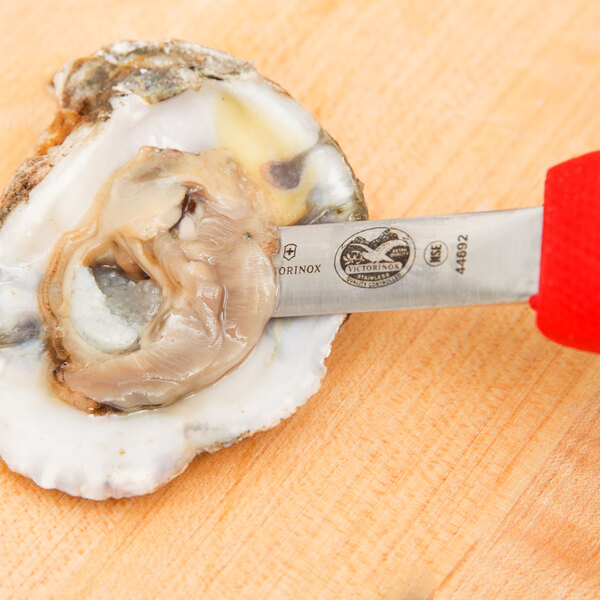 Victorinox Providence Style Oyster Knife (2 3/4")