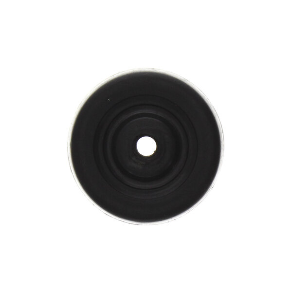 A black plastic circle with a hole in the center.