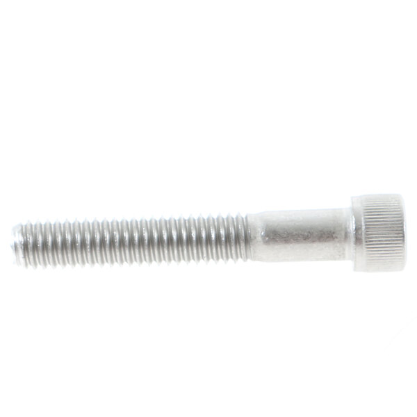A close-up of a Manitowoc Ice 5000273 screw with a metal head.