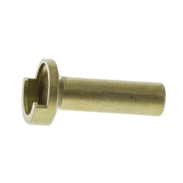 A close-up of a brass screw.