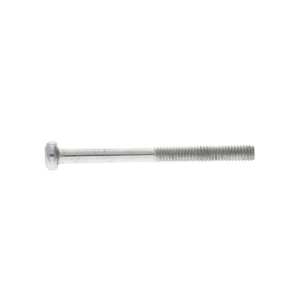 A close-up of a Hoshizaki hinge-pivot pin screw.