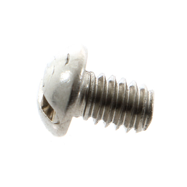 A close-up of a Champion screw.