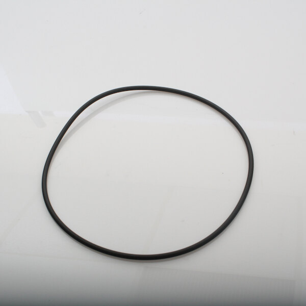 A black rubber O-ring on a white surface.