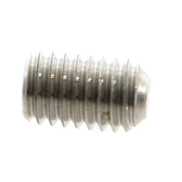 A close-up of a Globe stainless steel slotted set screw with a silver finish.