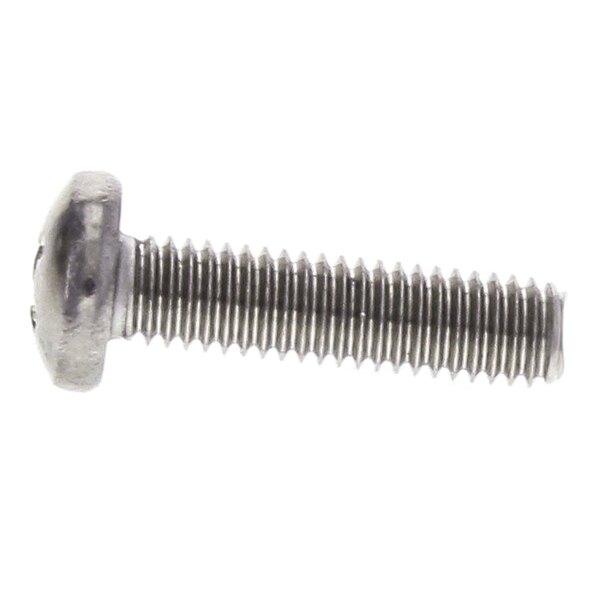 A close-up of a APW Wyott screw with a metal head.