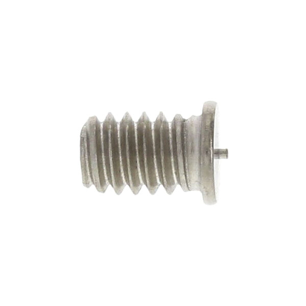 A close-up of a Delfield stainless steel screw with a metal head.