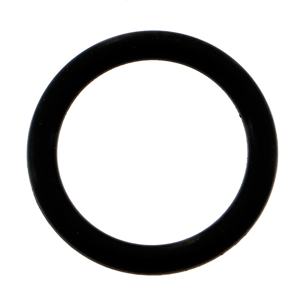 A black rubber Blakeslee O-Ring.