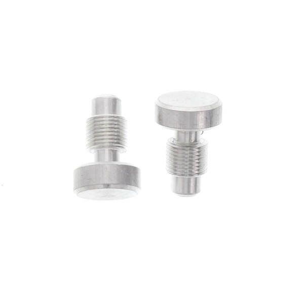 A pair of stainless steel screws with silver knobs on a white background.