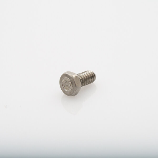 A close up of a Globe stainless steel screw.