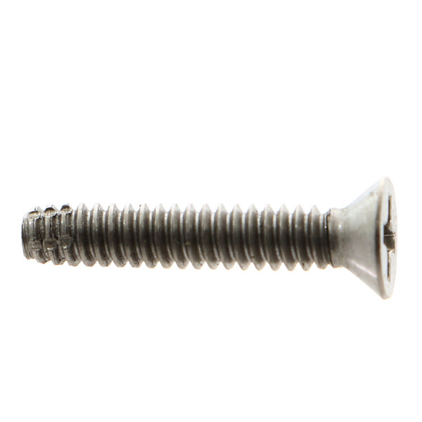 A close-up of a Delfield screw with a flat head.