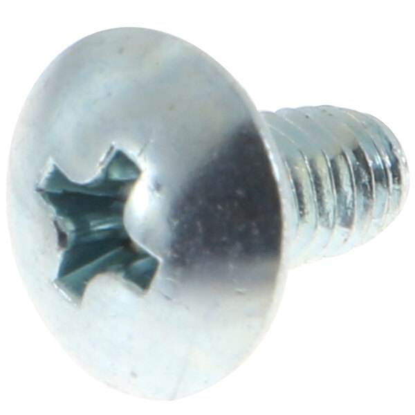 A close-up of a Hoshizaki zinc screw with a hole in it.