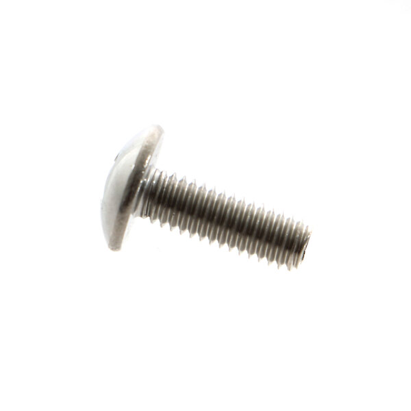 A close-up of a Hoshizaki T2 screw.