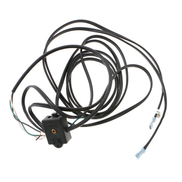 A black wire harness with a black junction box and plug.