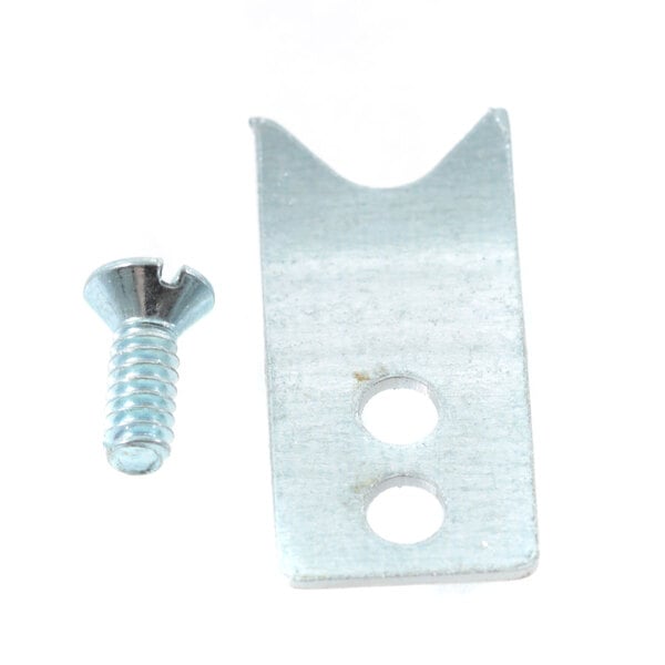 A screw and a metal plate on a white background.