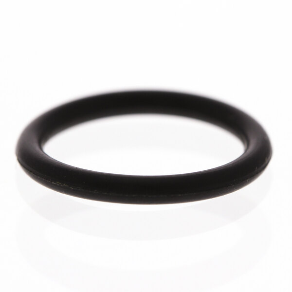 A close-up of a black Perlick O-ring.