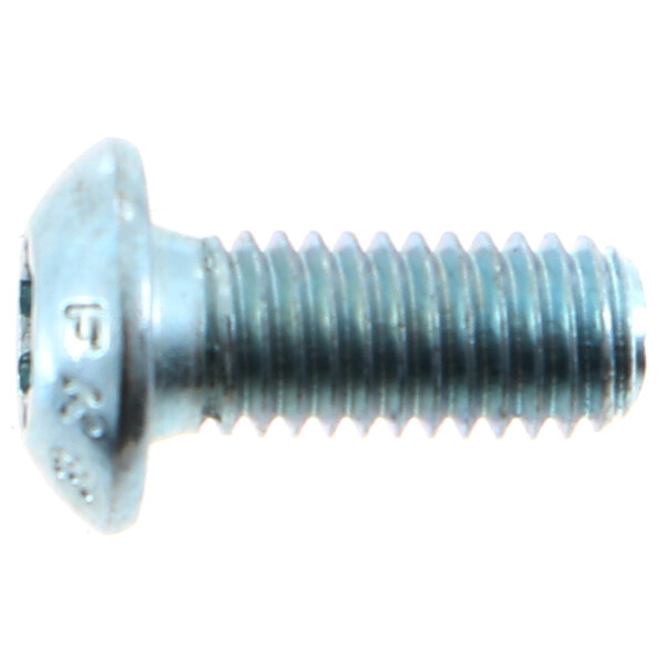 A close-up of a Cleveland Fillister Head Torx Screw with a metal head.