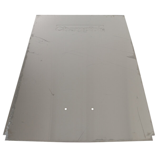 A metal plate with holes, the Champion 316990 Wash/Rinse Door.