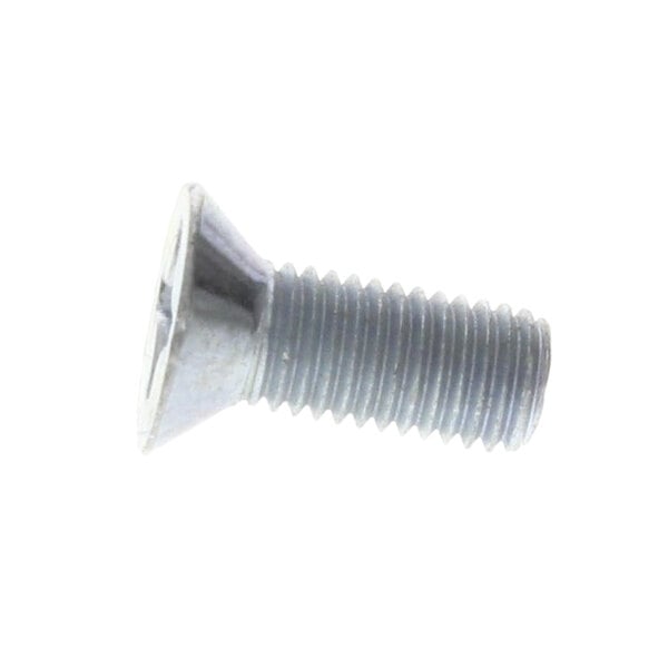 A close-up of a Bakers Pride machine screw with a flat head.