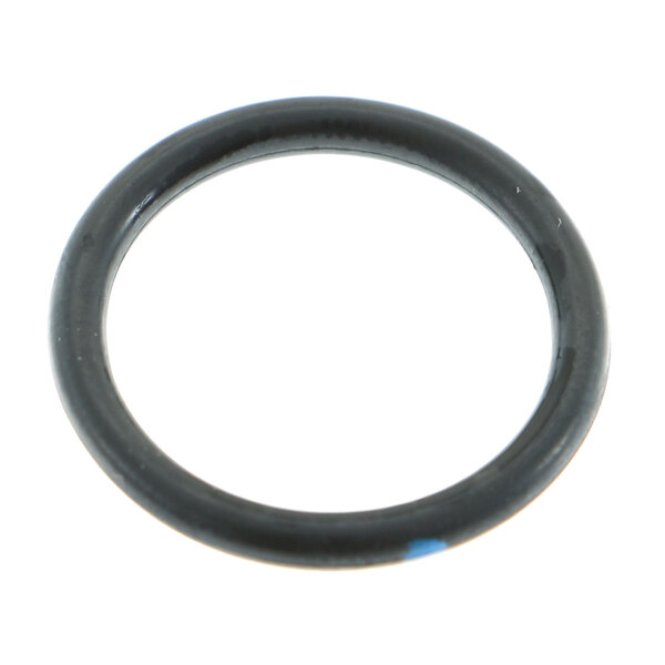 A black rubber o ring with blue spots on a white background.