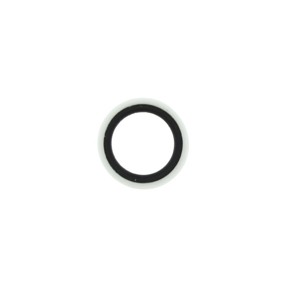 A black and white rubber circle.