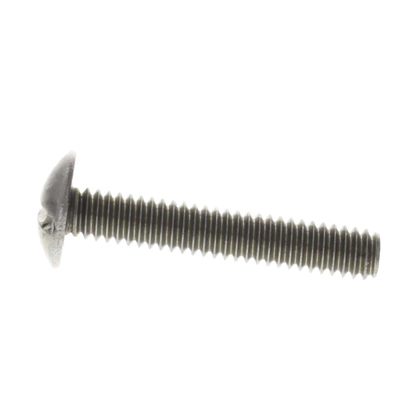 A close-up of a Groen screw with a truss head.