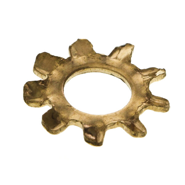 A gold metal lockwasher with a white background.
