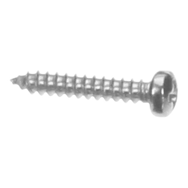A close-up of a Convotherm screw with a pan-head.