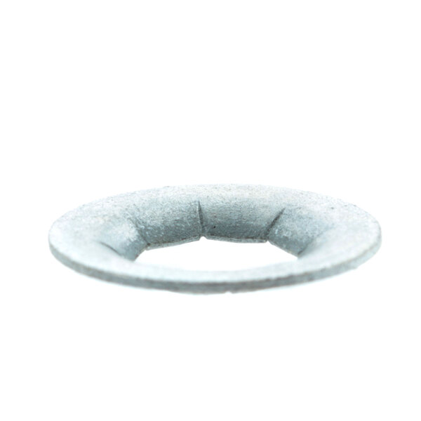 A close-up of a metal retaining washer.