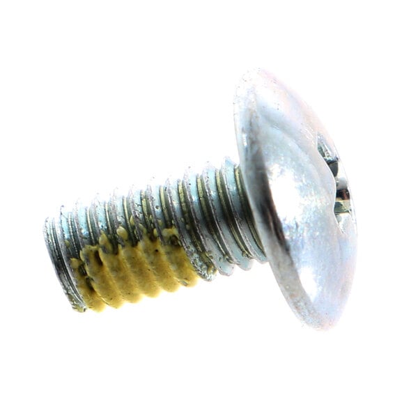 A close-up of an APW Wyott 10-32 X 3/8 truss head screw with a metal head.