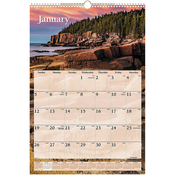 An At-A-Glance wirebound wall calendar with a scenic picture of a beach and trees.