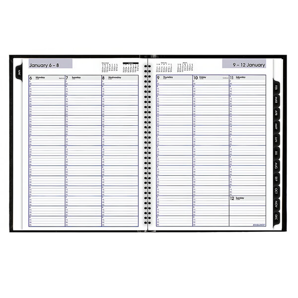 At-A-Glance 2020 Weekly Planner/Appointment Book - View #6