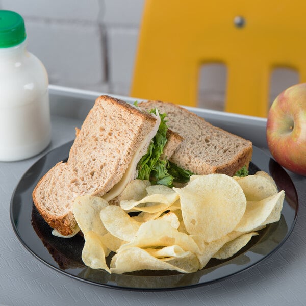 A Carlisle polycarbonate plate with a sandwich and chips.