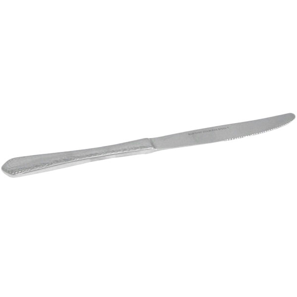 A Bon Chef stainless steel dinner knife with a silver handle.