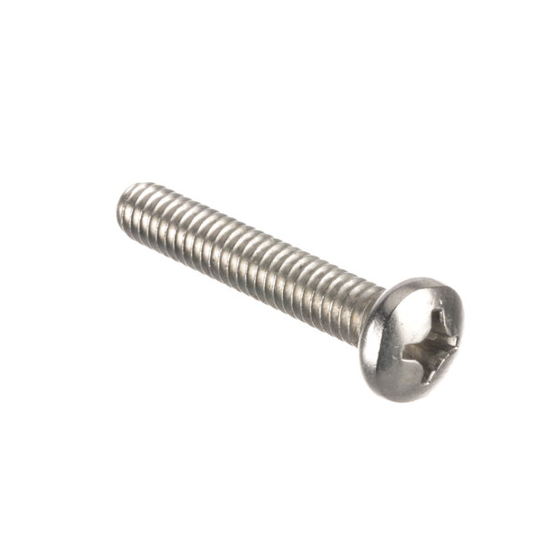 A close-up of a SaniServ screw with a white background.