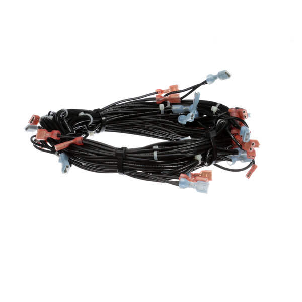 A bundle of black wires with red and blue wires.