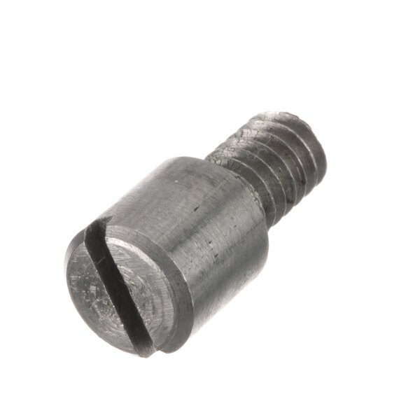 A close-up of a Duke pivot pin screw with a metal head.