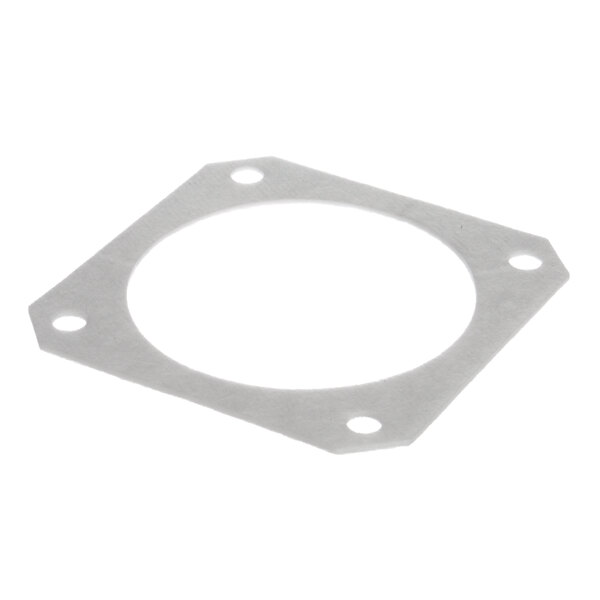 A small metal oval gasket with holes.