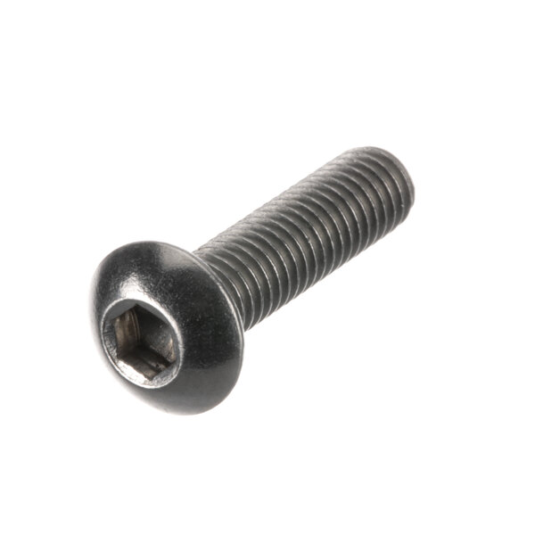 A close-up of a Fisher screw with a black head.