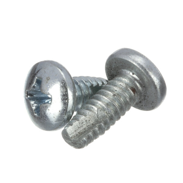 A close-up of two Middleby Marshall screws.