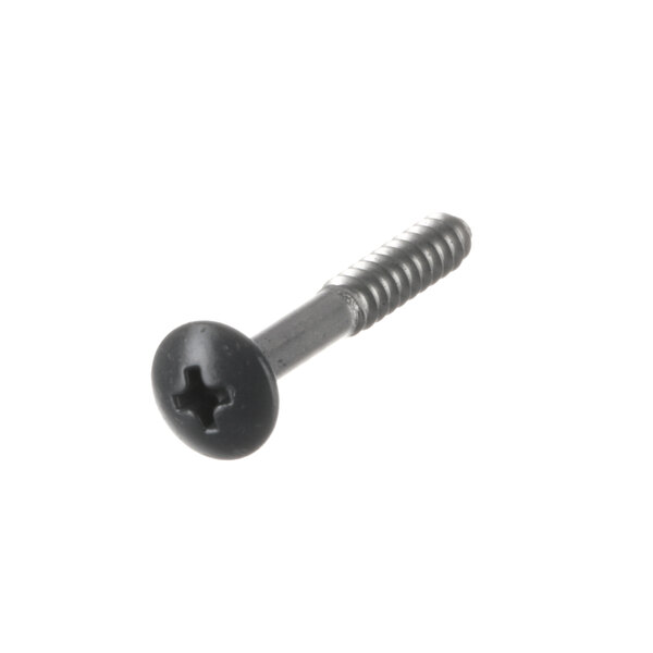 A close-up of a screw with a black head.