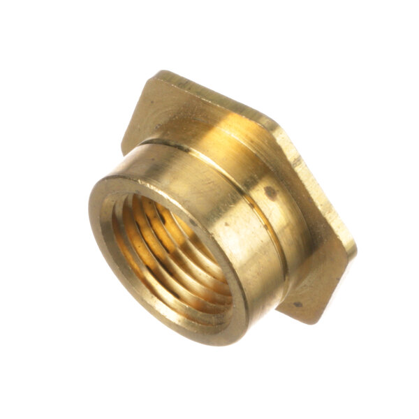 A close-up of a gold metal brass nut with a nut in the center.
