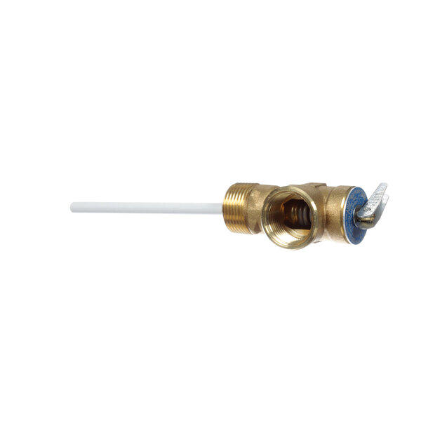 A brass Stero relief valve.